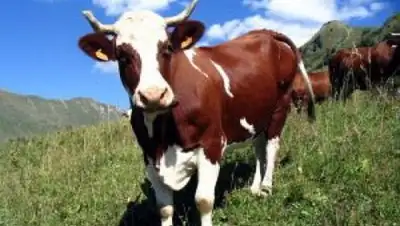 Zakon.kz, фото - Новости Zakon.kz от 19.08.2014 18:39