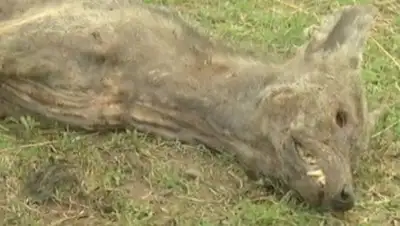 Zakon.kz, фото - Новости Zakon.kz от 28.02.2014 18:06