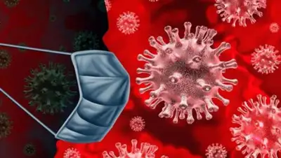 knews.kg, фото - Новости Zakon.kz от 21.08.2020 14:37