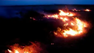 Zakon.kz, фото - Новости Zakon.kz от 23.08.2017 06:55