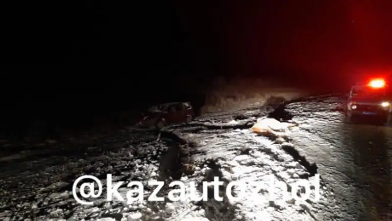 Всадника на коне насмерть сбили в ВКО