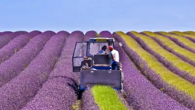 Zakon.kz, фото - Новости Zakon.kz от 15.09.2016 20:29