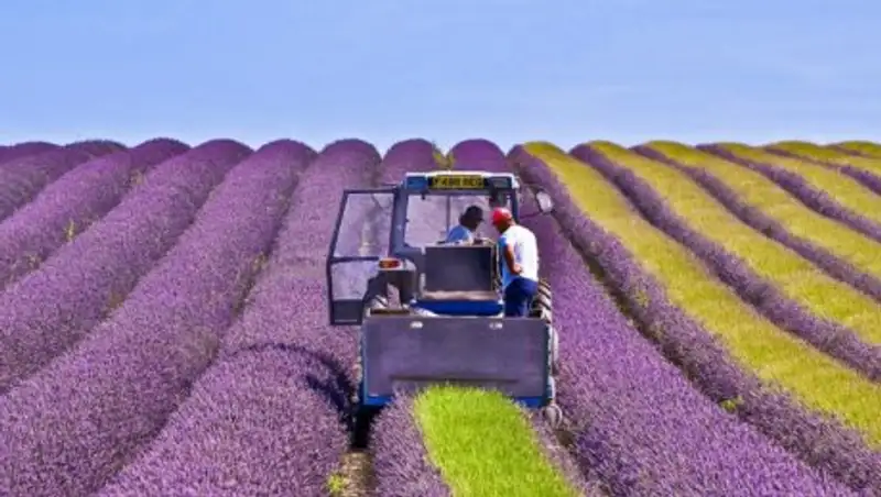 Как собирают урожай и встречают осень в разных странах мира