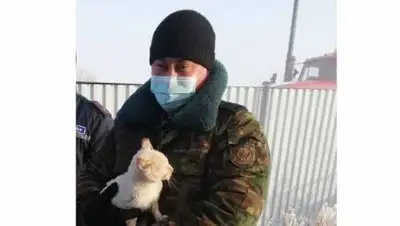 aqmola_tjd, фото - Новости Zakon.kz от 30.11.2020 19:53