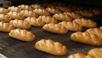 Zakon.kz, фото - Новости Zakon.kz от 31.10.2021 19:41