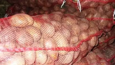 Zakon.kz, фото - Новости Zakon.kz от 19.08.2014 00:07