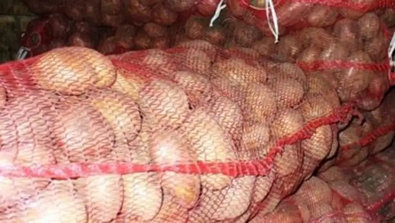 В Павлодаре в 2 раза увеличат закуп продуктов в стабфонд