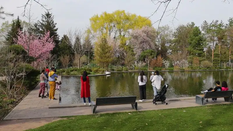 Ботанический сад, Алматы, достопримечательности , фото - Новости Zakon.kz от 08.08.2023 15:21