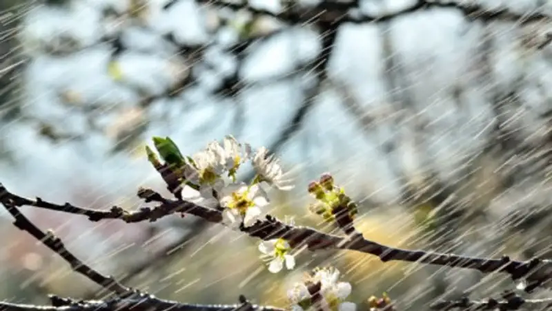 Дожди, туман и усиление ветра ожидаются в Казахстане 2 апреля
