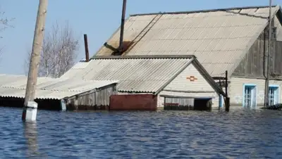 Zakon.kz, фото - Новости Zakon.kz от 15.04.2016 15:24