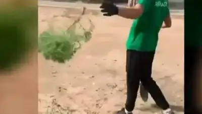 Скриншот, фото - Новости Zakon.kz от 23.07.2020 09:41