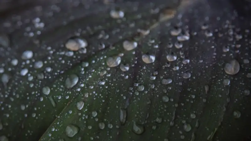 На большей части Казахстана в пятницу пройдут осадки