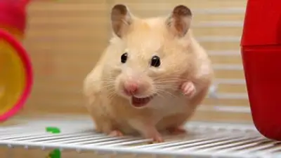 Zakon.kz, фото - Новости Zakon.kz от 16.11.2017 19:51