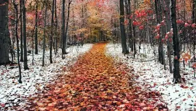 Zakon.kz, фото - Новости Zakon.kz от 20.10.2016 21:35