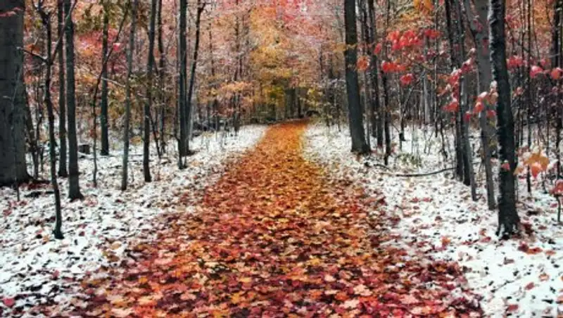 В ближайшие трое суток в Казахстане снова прогнозируют осадки
