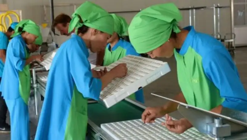 Алматинские предприниматели предложили уникальный набор производств