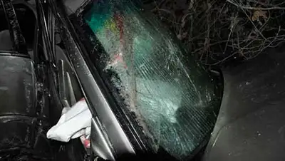 Zakon.kz, фото - Новости Zakon.kz от 11.11.2013 15:45