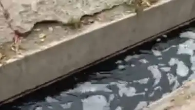 скриншот видео, фото - Новости Zakon.kz от 23.10.2020 11:18