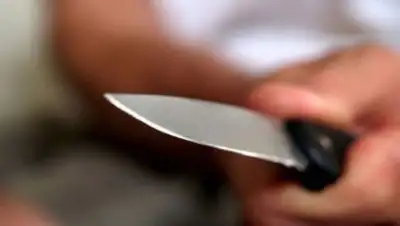 Ак Жайык, фото - Новости Zakon.kz от 15.02.2018 16:00