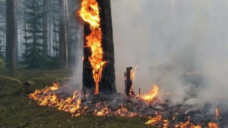 Павлодарда күндізгі уақытта өрт салып жүрген 50 жастағы есі ауысқан азамат ұсталды