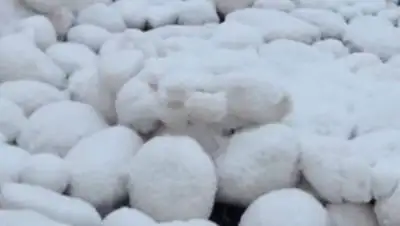 vesti.ru, фото - Новости Zakon.kz от 13.12.2017 00:51