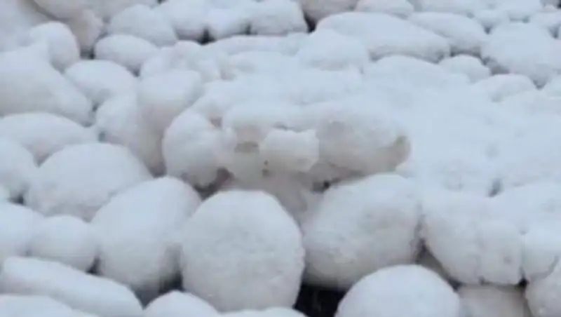 Финский залив покрылся загадочными ледяными шарами