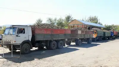 пресс-служба акимата области, фото - Новости Zakon.kz от 15.06.2020 15:06