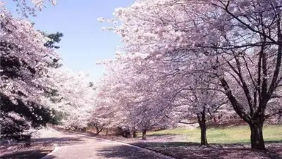 Zakon.kz, фото - Новости Zakon.kz от 30.03.2015 17:26