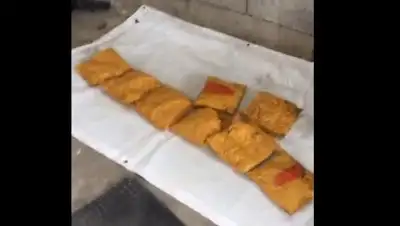 Zakon.kz, фото - Новости Zakon.kz от 01.06.2017 00:31