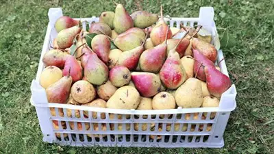 © Fotolia / kingan, фото - Новости Zakon.kz от 14.11.2018 08:19