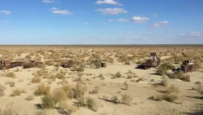 biosaline.org, фото - Новости Zakon.kz от 03.02.2019 20:47