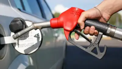 alau.kz, фото - Новости Zakon.kz от 17.10.2019 13:06