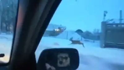 YouTube, фото - Новости Zakon.kz от 22.12.2019 01:15