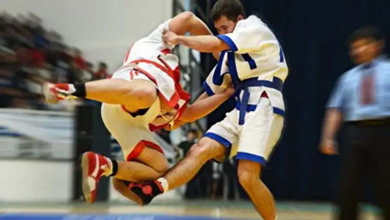 Включить казах курес в школьную программу предложили в Казахстане