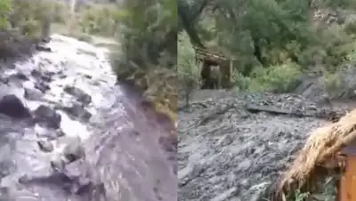 кадры из видео, фото - Новости Zakon.kz от 16.07.2021 12:57