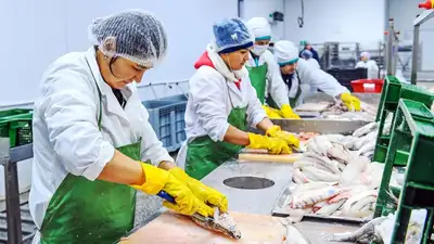 Составлен список сезонных работ, которые засчитываются в стаж работы за весь год, фото - Новости Zakon.kz от 24.03.2023 11:59