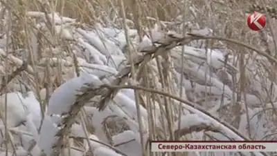 Zakon.kz, фото - Новости Zakon.kz от 23.10.2014 15:52