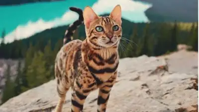 Zakon.kz, фото - Новости Zakon.kz от 27.09.2017 12:45