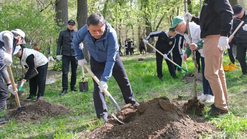 На общегородском субботнике в Алматы собрано 15 тысяч кубометров мусора и высажено 5 тысяч деревьев