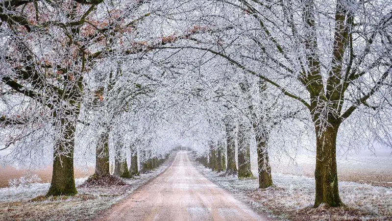 Cиноптики спрогнозировали погоду в Алматы, Астане и Шымкенте с 19 по 21 ноября