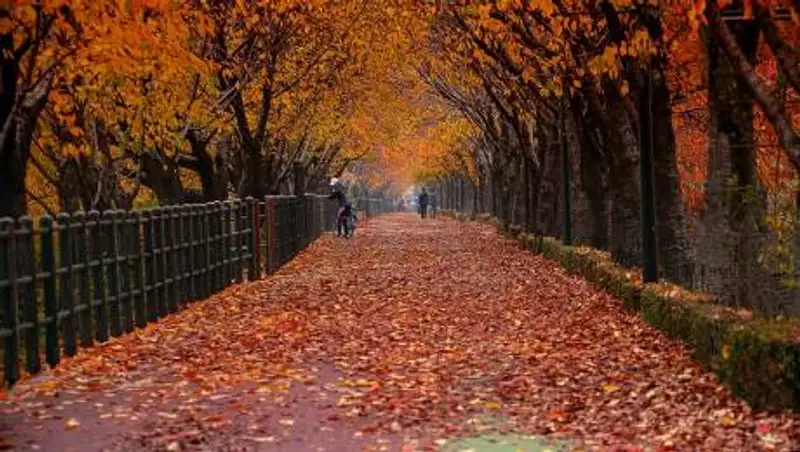 Похолодание ожидается в Казахстане