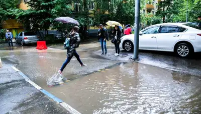 m24.ru, фото - Новости Zakon.kz от 05.06.2019 16:38