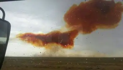 Zakon.kz, фото - Новости Zakon.kz от 15.06.2017 13:22