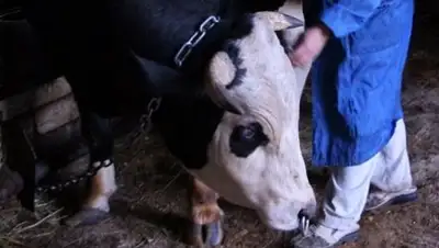 Zakon.kz, фото - Новости Zakon.kz от 02.07.2016 14:12