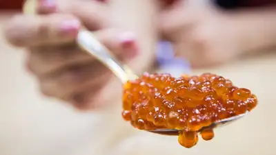 tsargrad.tv, фото - Новости Zakon.kz от 22.10.2019 17:26