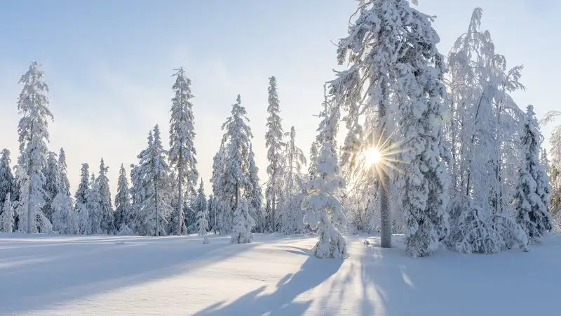 Мороз и штормовое предупреждение – погода в Казахстане на 15 января