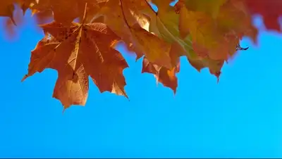 Zakon.kz, фото - Новости Zakon.kz от 02.10.2015 12:54