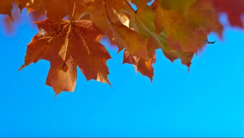 На большей части Казахстана сохраняется погода без осадков