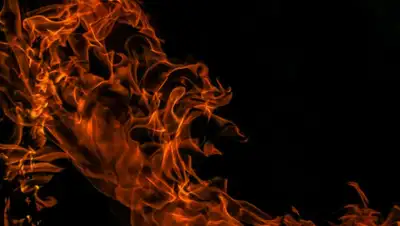 pixabay, фото - Новости Zakon.kz от 21.03.2019 07:24