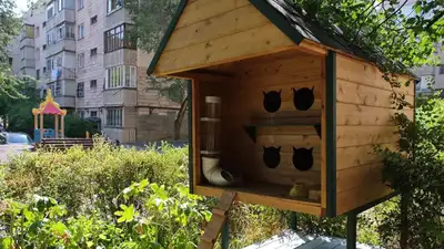 Домик , фото - Новости Zakon.kz от 05.08.2023 10:00